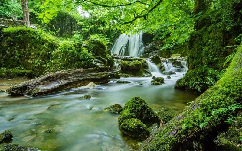 高质量高端智慧